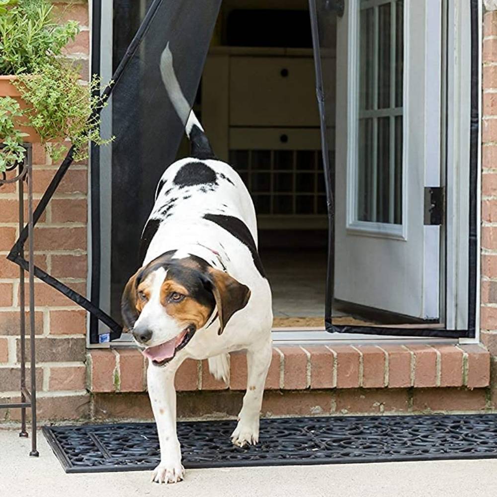 * Door Screen Buy Online Free Delivery